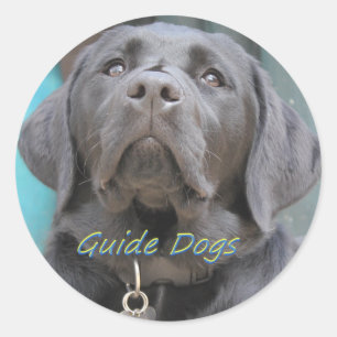 Geleidehonden - Black Lab Cross Ronde Sticker