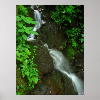 Geleidelijke groei poster