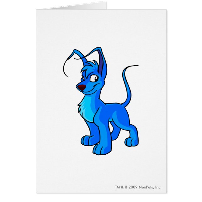 Gelert Blue (Voorkant)