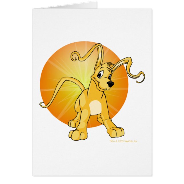 Gelert jaune espiègle (Devant)