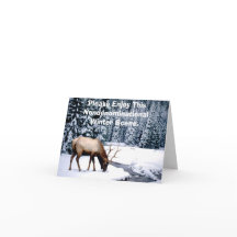 Gelieve te genieten van Deze Scène van de Winter