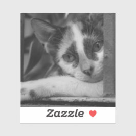 Gelieve te Katten Sticker