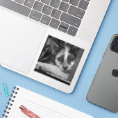 Gelieve te Katten Sticker (Laptop met iPhone)
