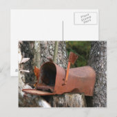 Gelieve te schrijven briefkaart (Voorkant / Achterkant)