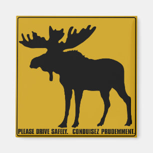 Gelieve veilig te rijden, verkeersteken, Canada Magneet