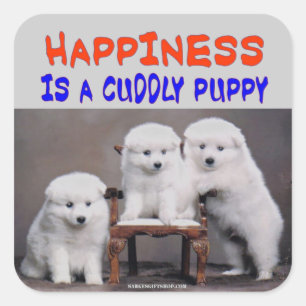 GELIJKHEID VIERKANTE STICKER