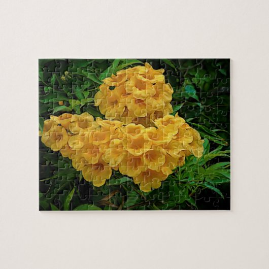 Gellow Ginger Thomas Virgin Islands Flowers Legpuzzel (Horizontaal)