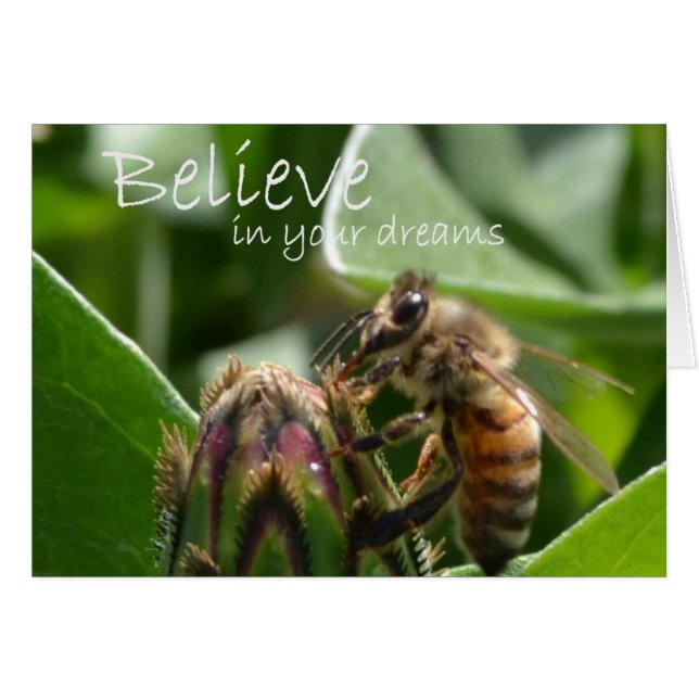 Geloof in je dromen (Voorkant Horizontaal)