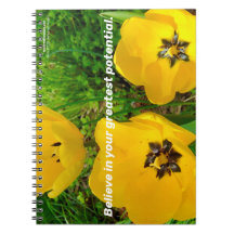 Geloof in je grootste potentieel.