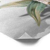 Geloof in jezelf poster (Hoek)