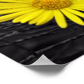 Geloof in jezelf poster (Hoek)