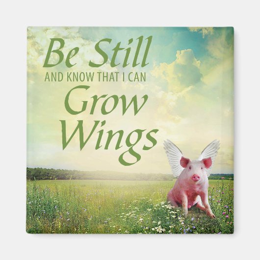 geloof in varkens magneet (Voorkant)