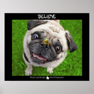 Geloof Pug Frog Poster