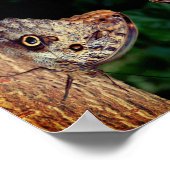 Geluk Abstract Inspirerend met bruine vlinder Poster (Hoek)