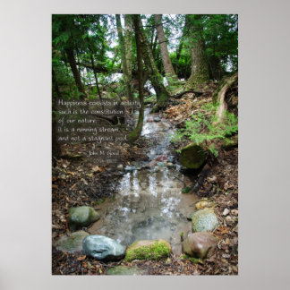 Geluk bestaat uit activiteit poster