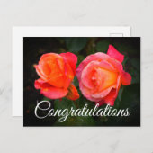 Geluk Broadway Rose #1 Ansichtkaart Briefkaart (Voorkant / Achterkant)