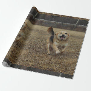 Geluk Cadeaupapier
