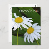 Geluk Daisies Briefkaart (Voorkant / Achterkant)