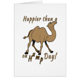Geluk dan een Camel op Hump Day