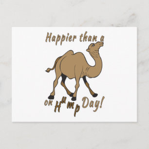 Geluk dan een Camel op Hump Day Briefkaart