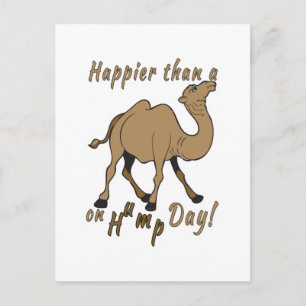 Geluk dan een Camel op Hump Day Briefkaart