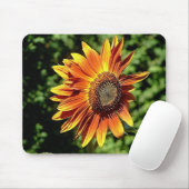 "Geluk in het Sinaasappel" Muismat (Met muis)