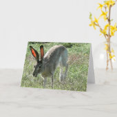 Geluk is een reis kaart (Gele Bloem)