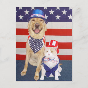 Gelukkig 4 juli! briefkaart