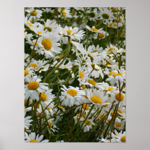 Gelukkig Bloemenweiland - Gelukkig gezicht lachend Poster
