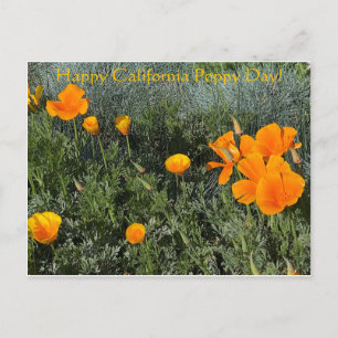 Gelukkig Californische papaverdag! Briefkaart