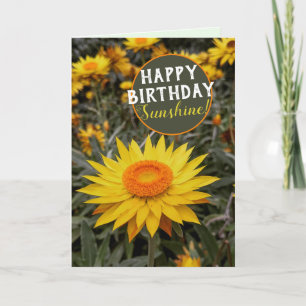 Gelukkig Energie Papier Madelief Bloem Gelukkige V Kaart