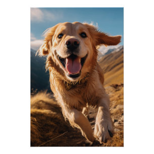 Gelukkig Golden Retriever Running Perfect Poster