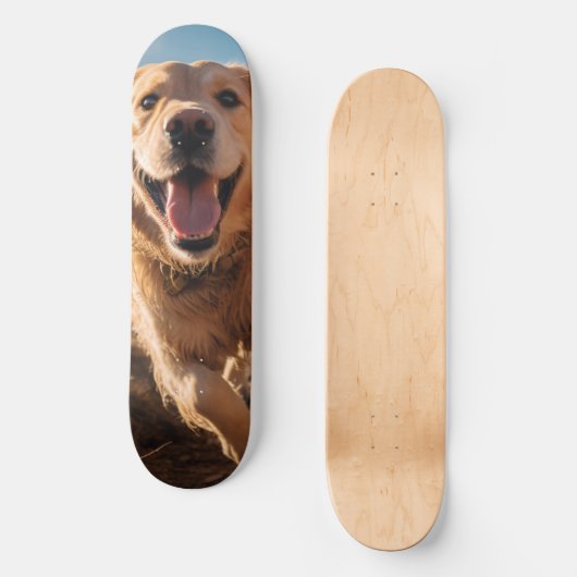 Gelukkig Golden Retriever Running Skateboard (Voorkant)