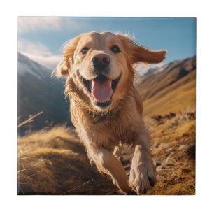 Gelukkig Golden Retriever Running Tegeltje
