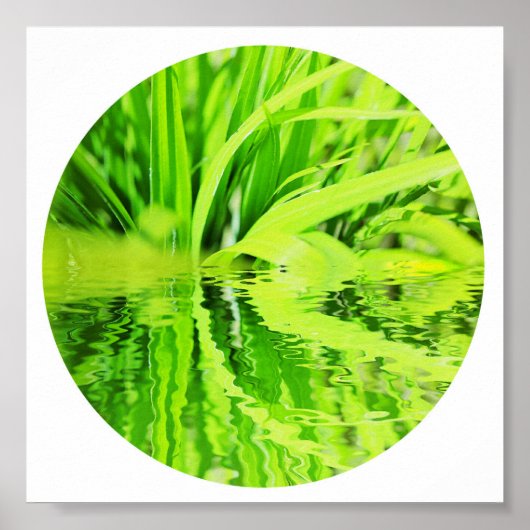 Gelukkig Helder Groen Gras Reflectie Natuur Poster (Voorkant)