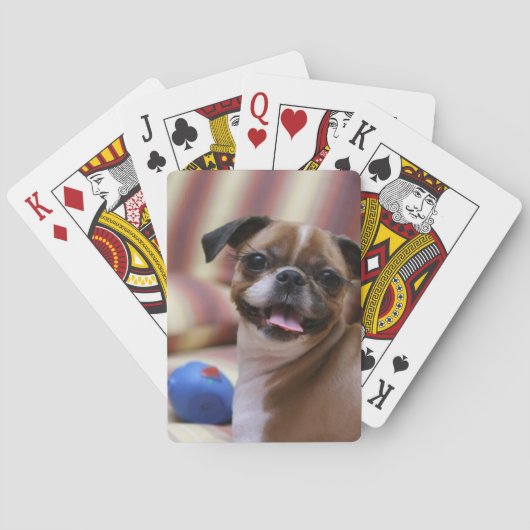 Gelukkig honden met speelgoed pokerkaarten (Achterkant)