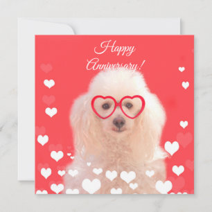Gelukkig jubileum Poodle hond vlakke kaart