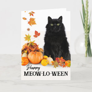 Gelukkig Meow-lo-ween met Halloween Zwarte Kat Kaart
