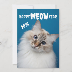 Gelukkig MIAUW Jaar Mooie kat Kerstkaart