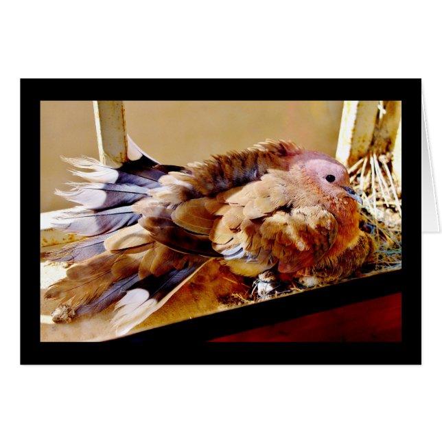 Gelukkig Moederdag! (Voorkant Horizontaal)