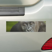 Gelukkig Nieuwjaar van de Astrologie van de Monkey Bumpersticker (Op auto)