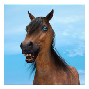 Gelukkig Paard Foto Afdruk