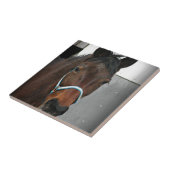 gelukkig paard tegeltje (Zijkant)