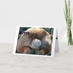 GELUKKIG PASEN / ER ZIJN GEEN KNOPEN OVER DEZE WEN FEESTDAGEN KAART