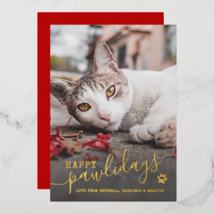 Gelukkig Pawlidays Kat Foto Huisdier Rood Kerst Ec Folie Feestdagenkaart