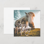 Gelukkig Valentijnsdag met uitziende paarden (Voorkant / Achterkant)