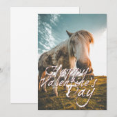 Gelukkig Valentijnsdag met uitziende paarden (Voorkant / Achterkant)