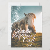 Gelukkig Valentijnsdag met uitziende paarden (Voorkant)