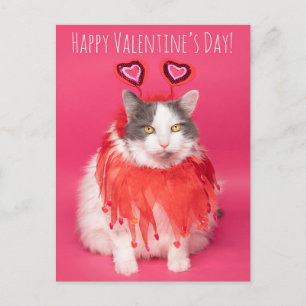 Gelukkig Valentijnsdag Warm en Fuzzy Cat Feestdagenkaart