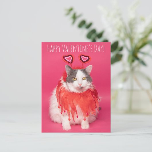 Gelukkig Valentijnsdag Warm en Fuzzy Cat Feestdagenkaart